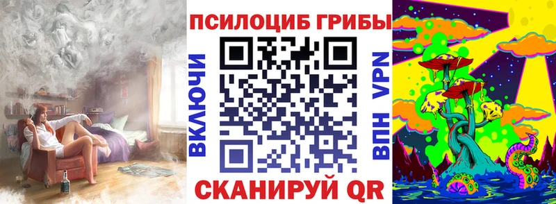 Псилоцибиновые грибы Psilocybe  наркошоп  Невьянск 